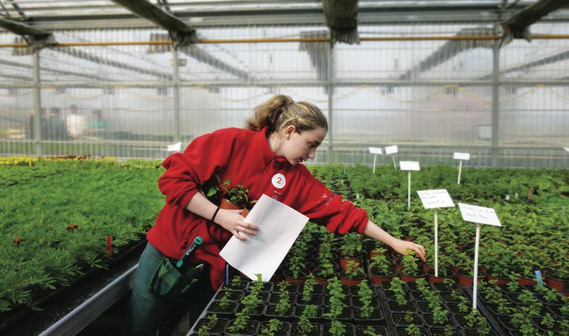 Diaporama Ouvrages Crs MAF (103)