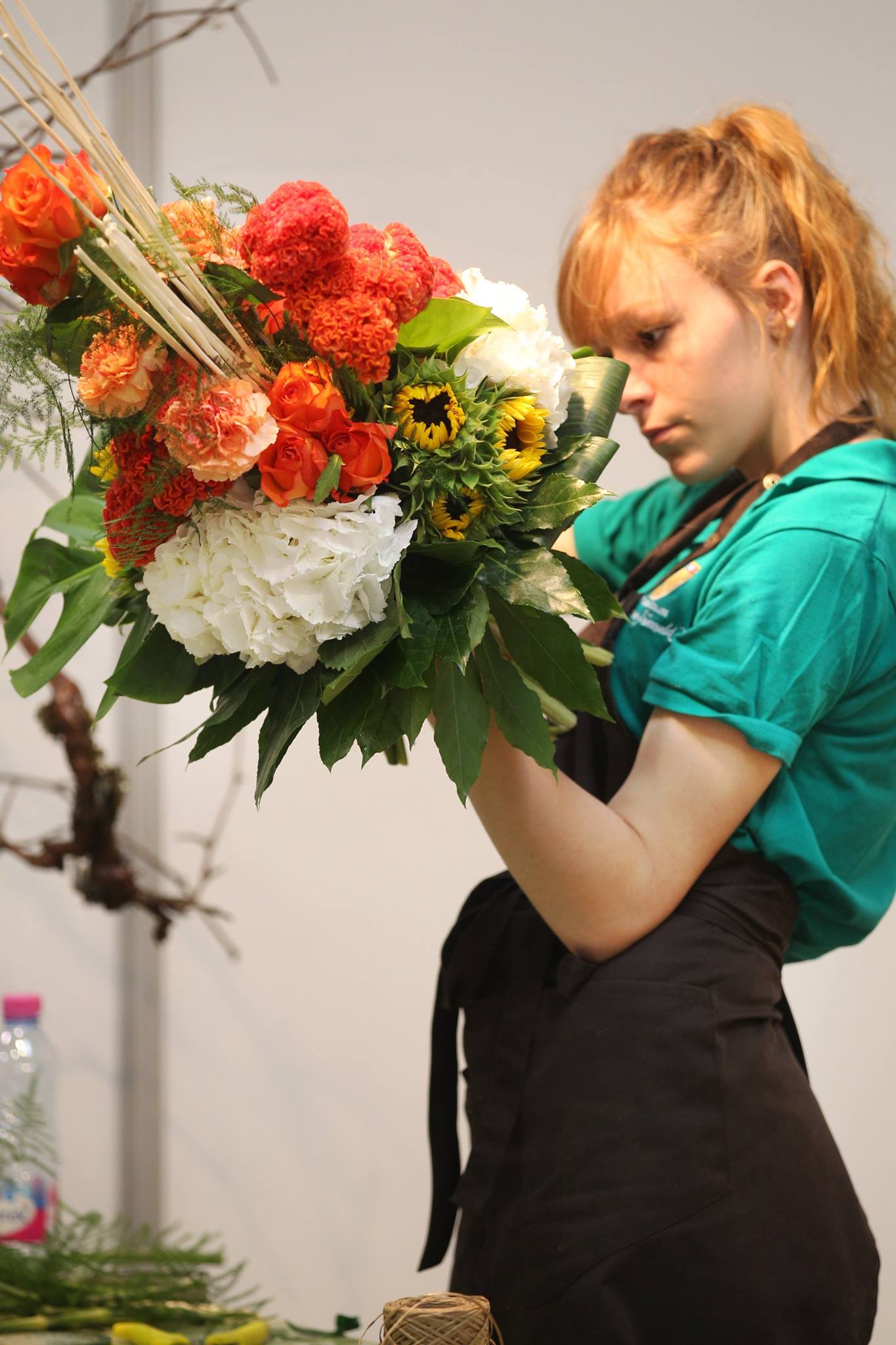 Diaporama Ouvrages Crs MAF (108)