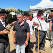 Groupement de la SnMOF de Dordogne